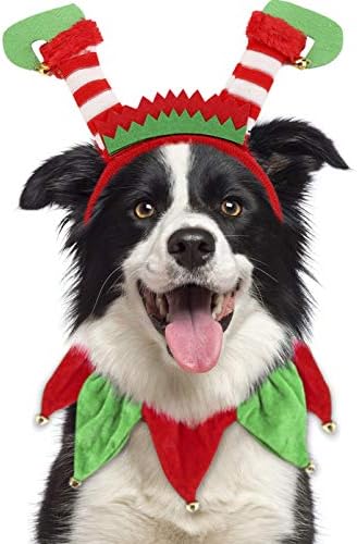 Божиќна облека за кучиња, лента за миленичиња елф и јака од Божиќ туту